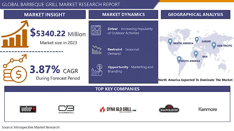 Barbeque Grill Market Navigating the Market Landscape: Size, Growth, and Share