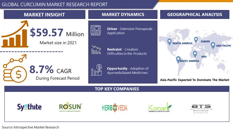 Curcumin Market Navigating the Market Landscape: Size, Growth, and Share