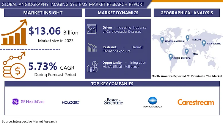 Angiography Imaging Systems Market: Current Situation Analysis by 2024 | IMR