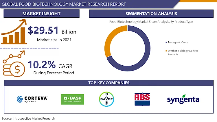 Food Biotechnology Market Trends: Innovations Driving Global Food Security