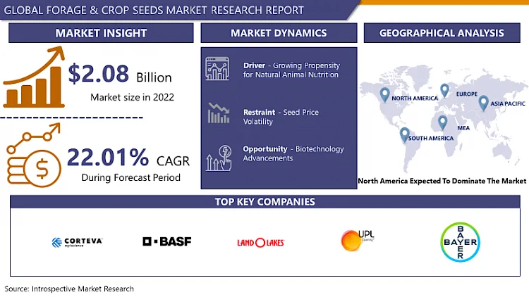 Forage & Crop Seeds Market