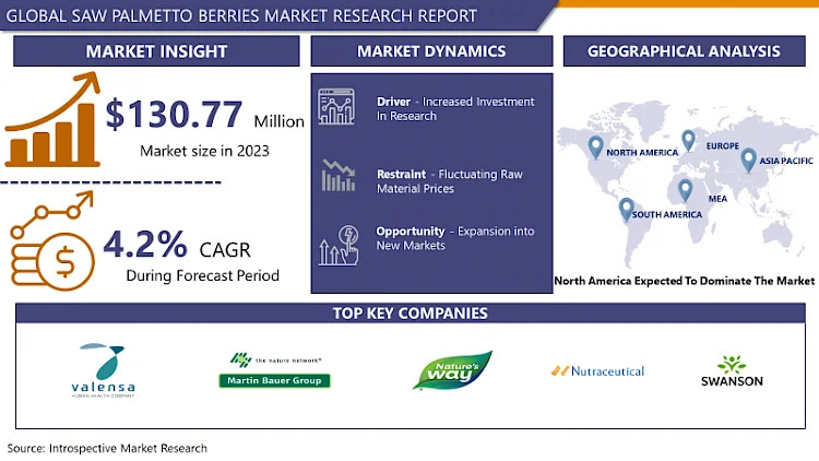 Saw Palmetto Berries Market Size, Share, Trend, Growth and Development By 2032 | IMR