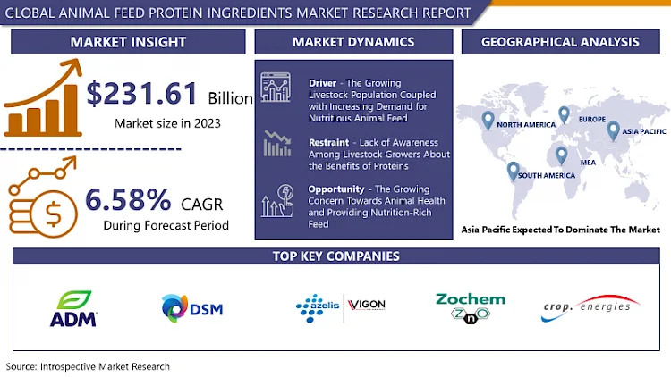 Animal Feed Protein Ingredients Market 2032: Size, Share, and Growth Outlook