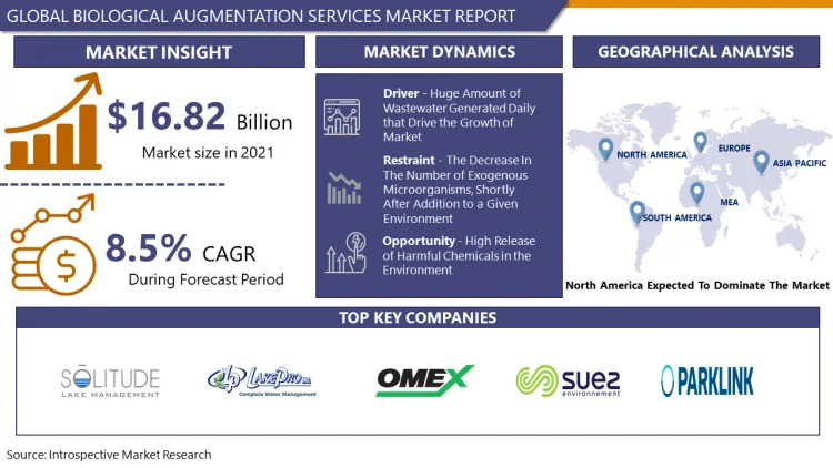 Biological Augmentation Services Market Leading the Way with 2030 Market Trends and Insights