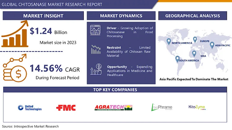 Chitosanase Market