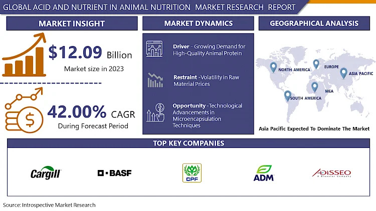 Acid And Nutrient In Animal Nutrition Market