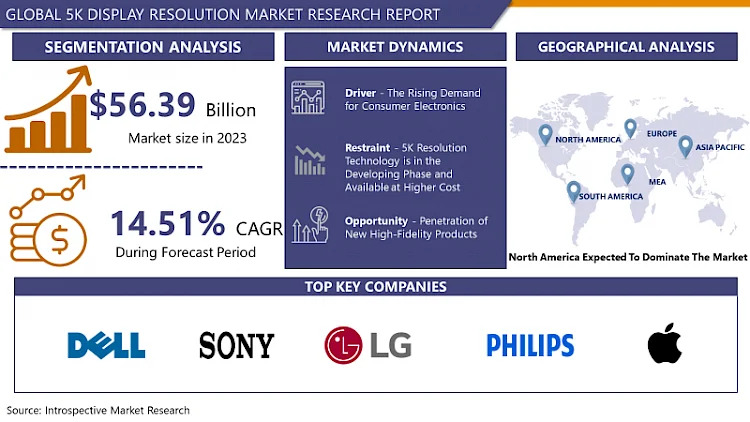 5K Display Resolution Market