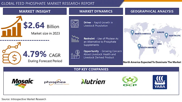 Feed Phosphate Market Size To Grow At A CAGR Of 4.79% From 2024-2032